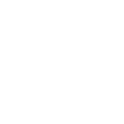 Bee and Honeycomb