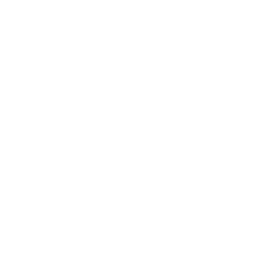 Lightning