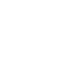 Traveler with Suitcase